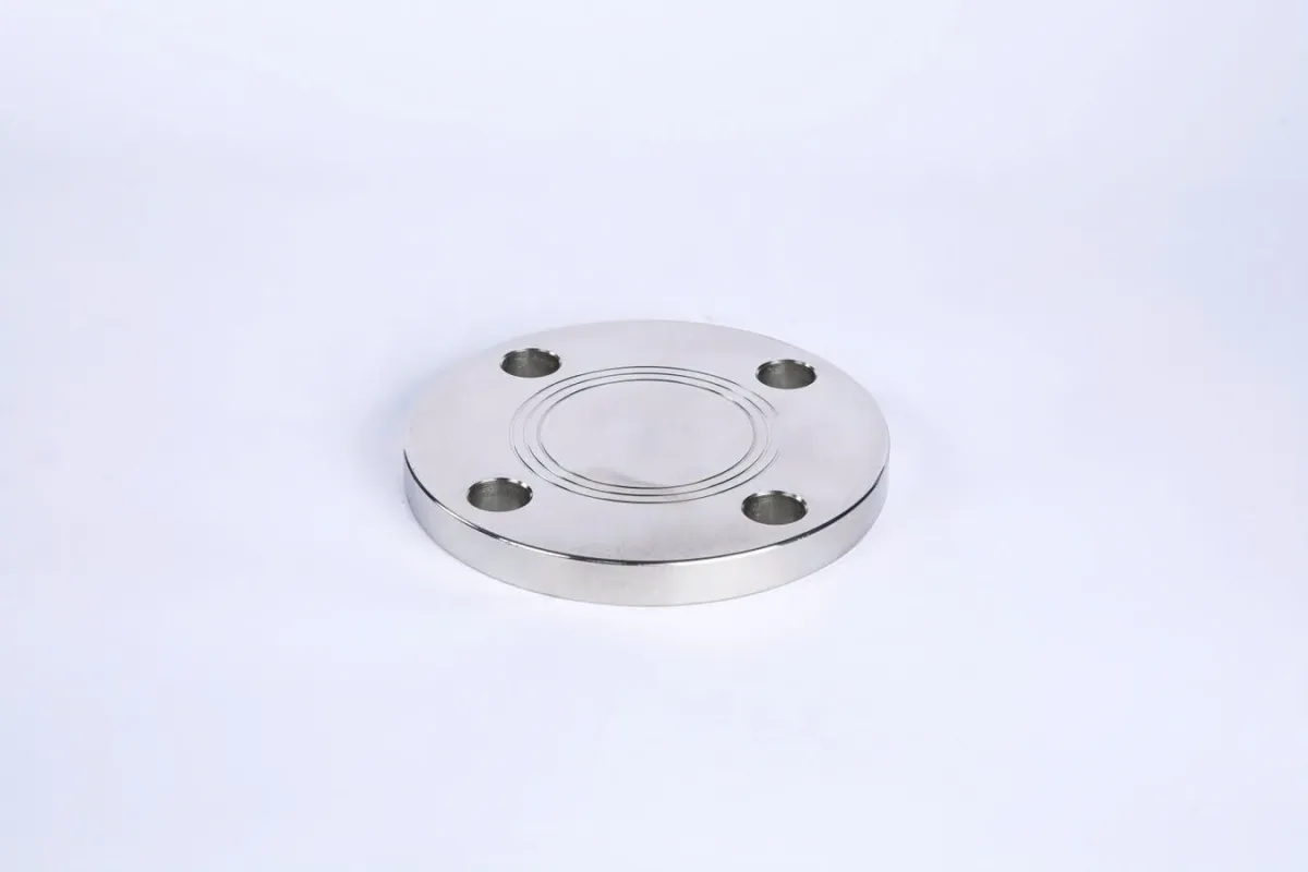 Comparison of 304 and 316 stainless steel blind flanges - Which is better?